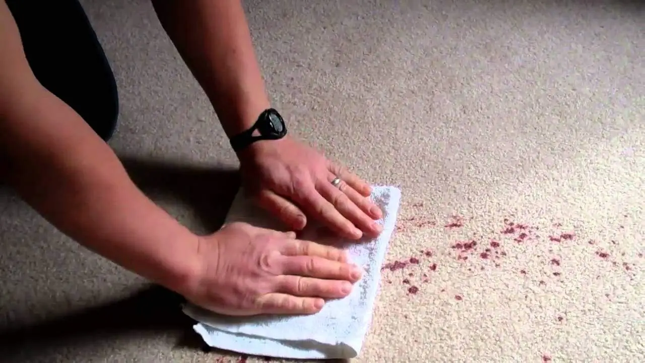 Guide to Carpet Care