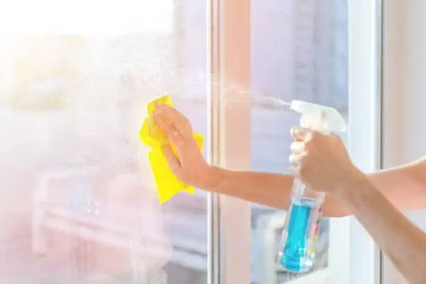 Professional hourly house cleaning service Auckland