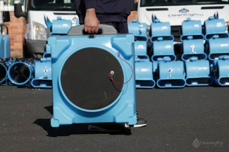 Carpet Drying Service in Auckland By Professionals |