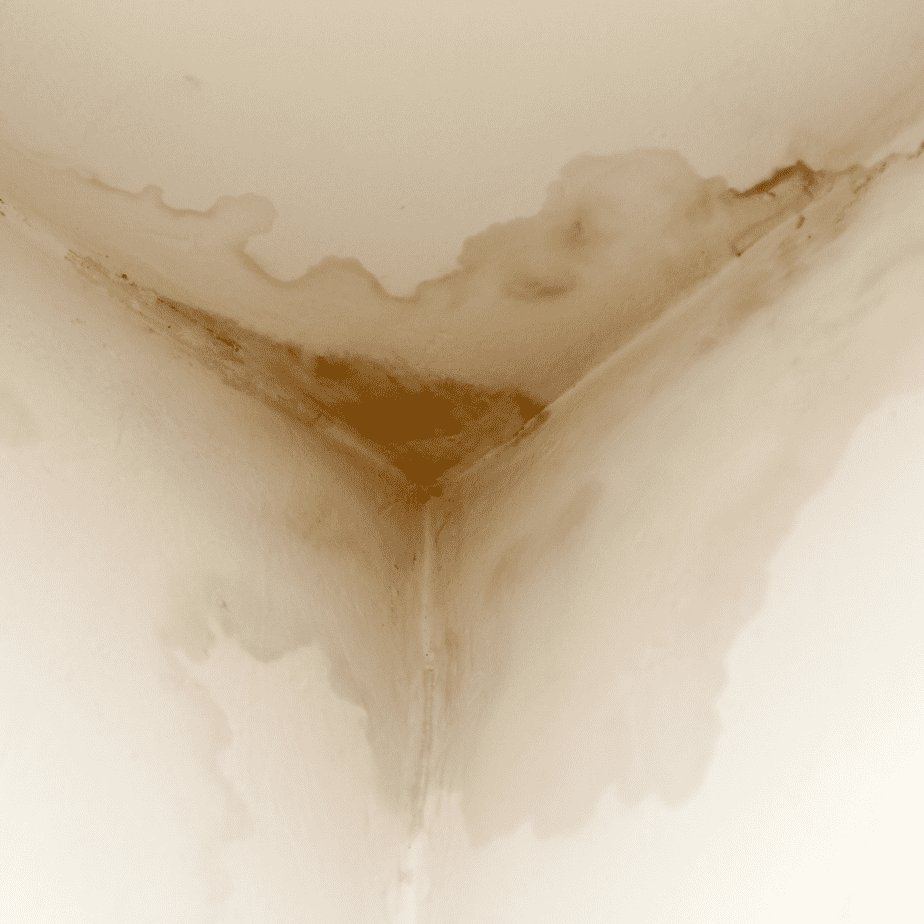 How to Dry Out Walls After Water Damage?