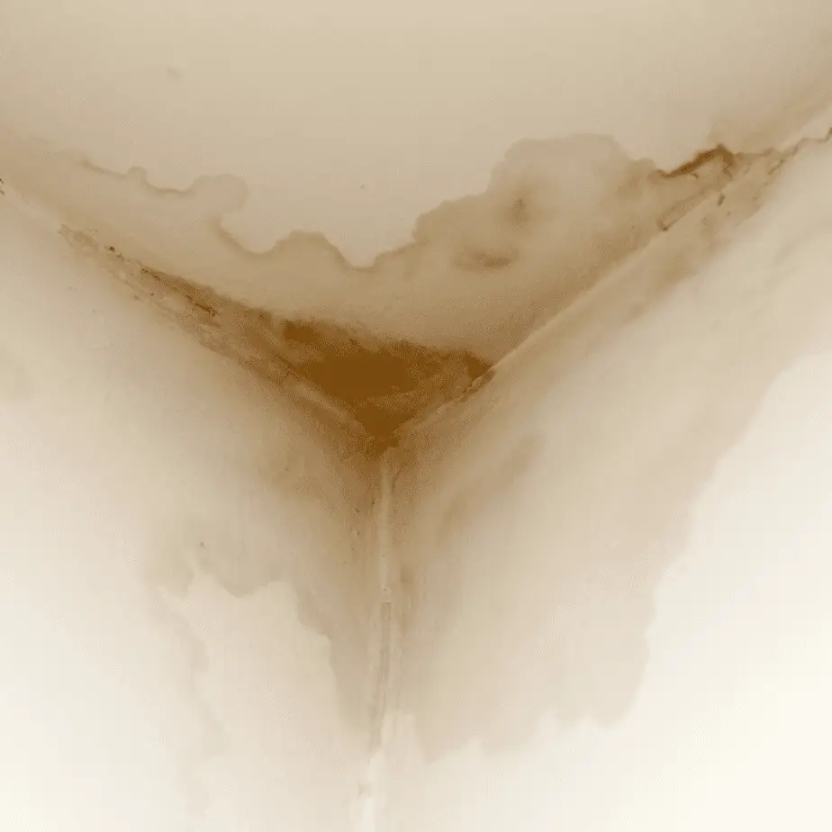 How to Dry Out Walls After Water Damage?