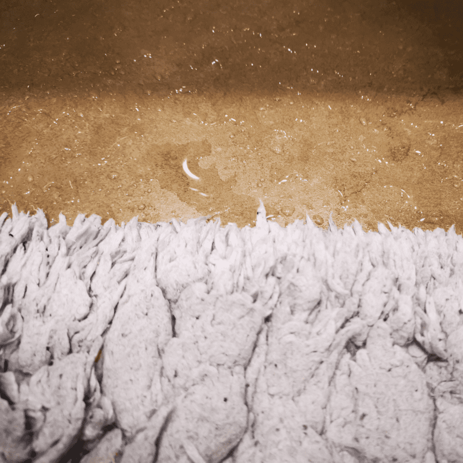 How To Remove Water Damage From Carpet?