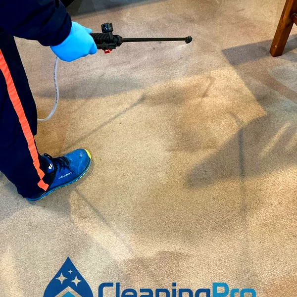 Carpet Cleaning Auckland