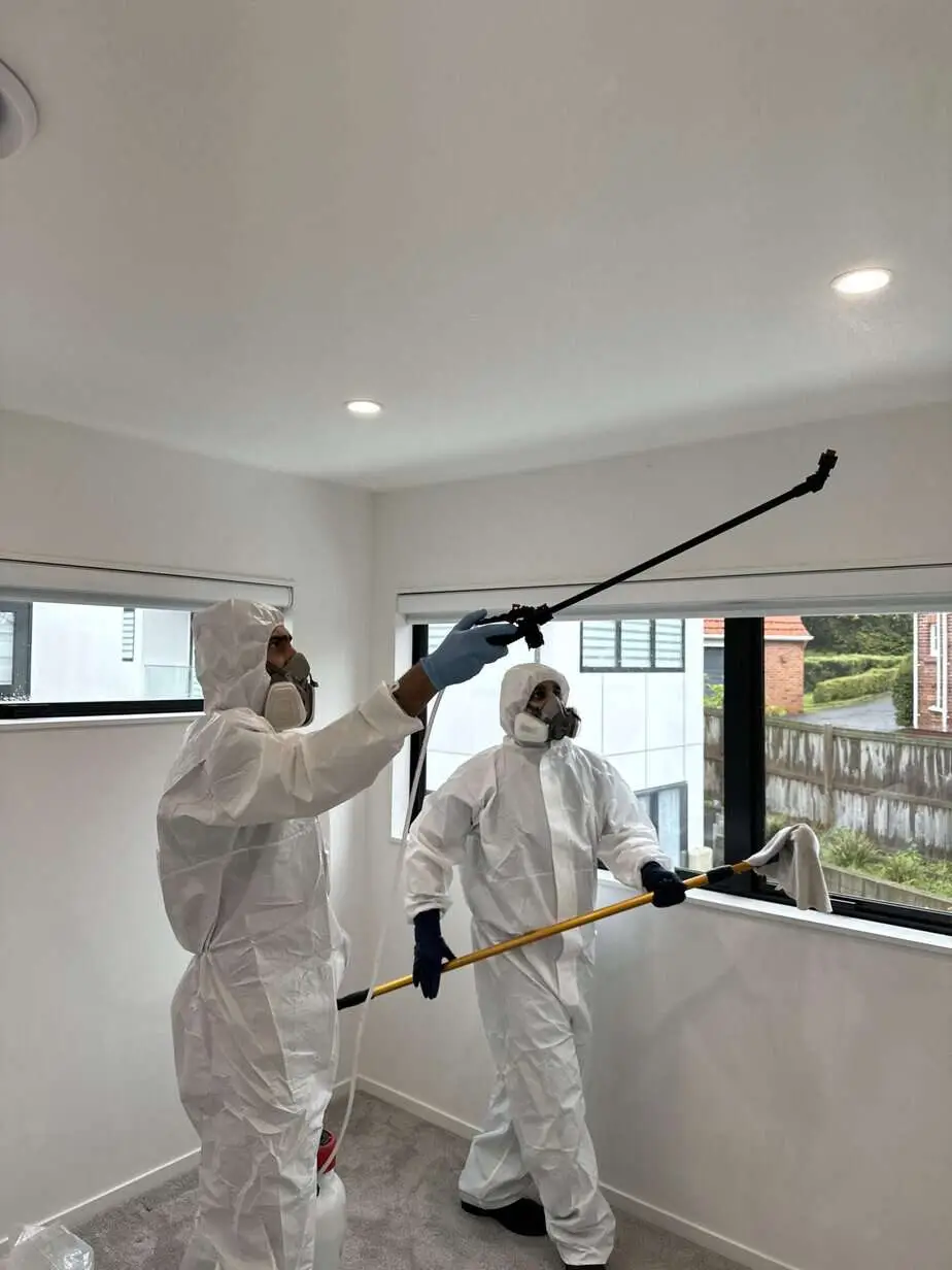 Biohazard cleaning Auckland