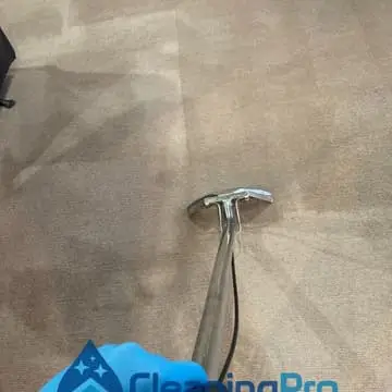Carpet cleaning service Auckland