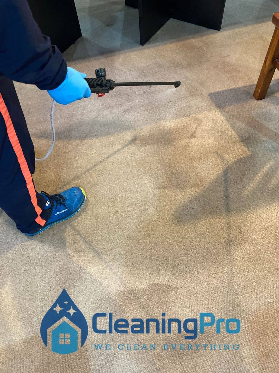 Carpet Stain Removal Service