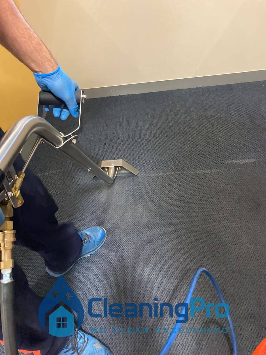 Carpet Cleaning Before and After