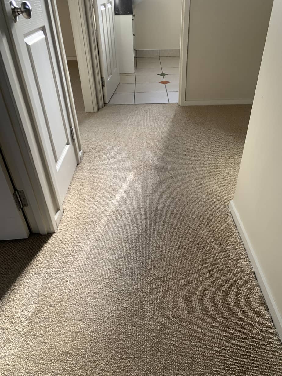 Bond back cleaning bedroom results Auckland