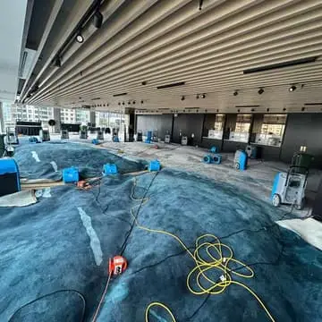 After-flood cleaning Auckland