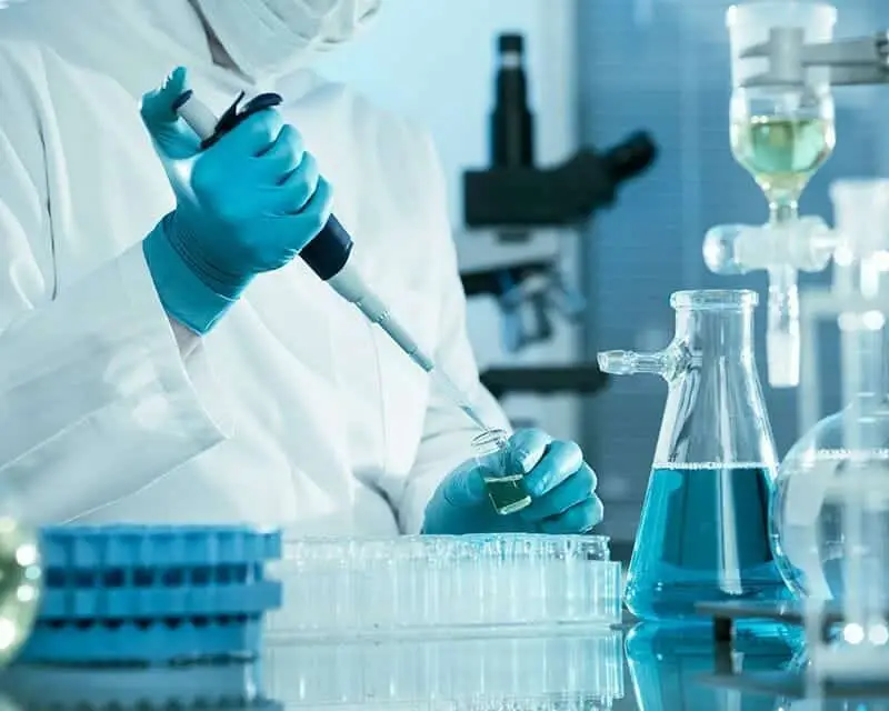 Meth testing Auckland