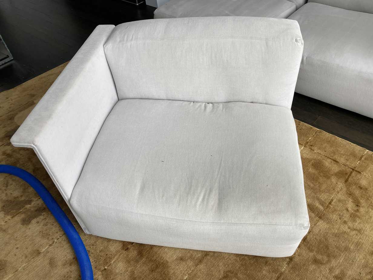 Couch Cleaning Results