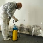 auckland-mould-removal