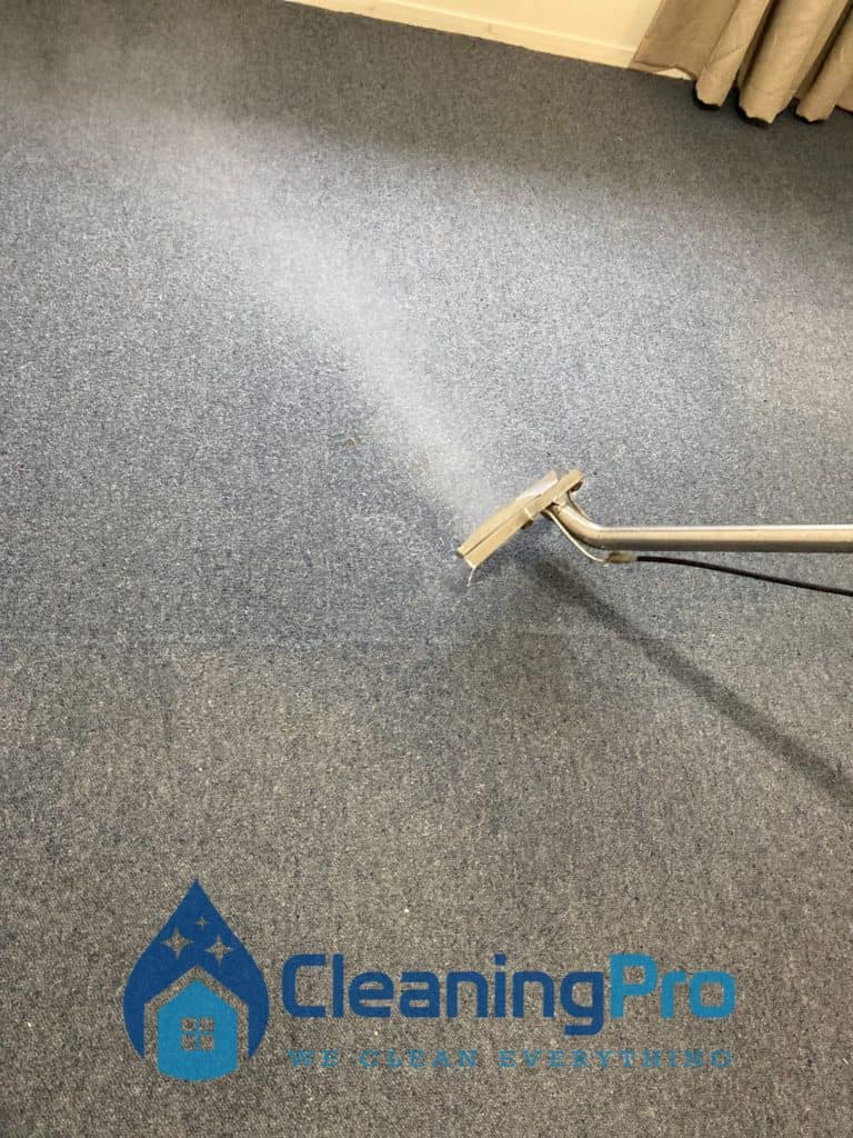 Cleaning a carpet in auckland.