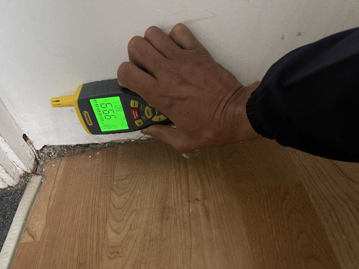 Checking moisture in wall